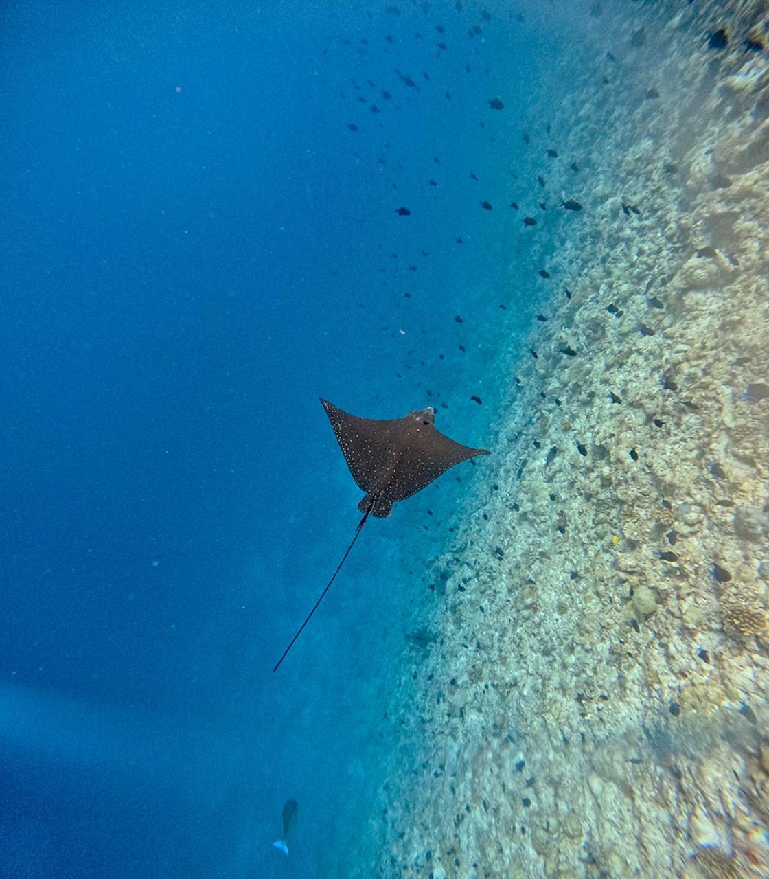 Готель Nihaali Maldives Kudarikilu Екстер'єр фото